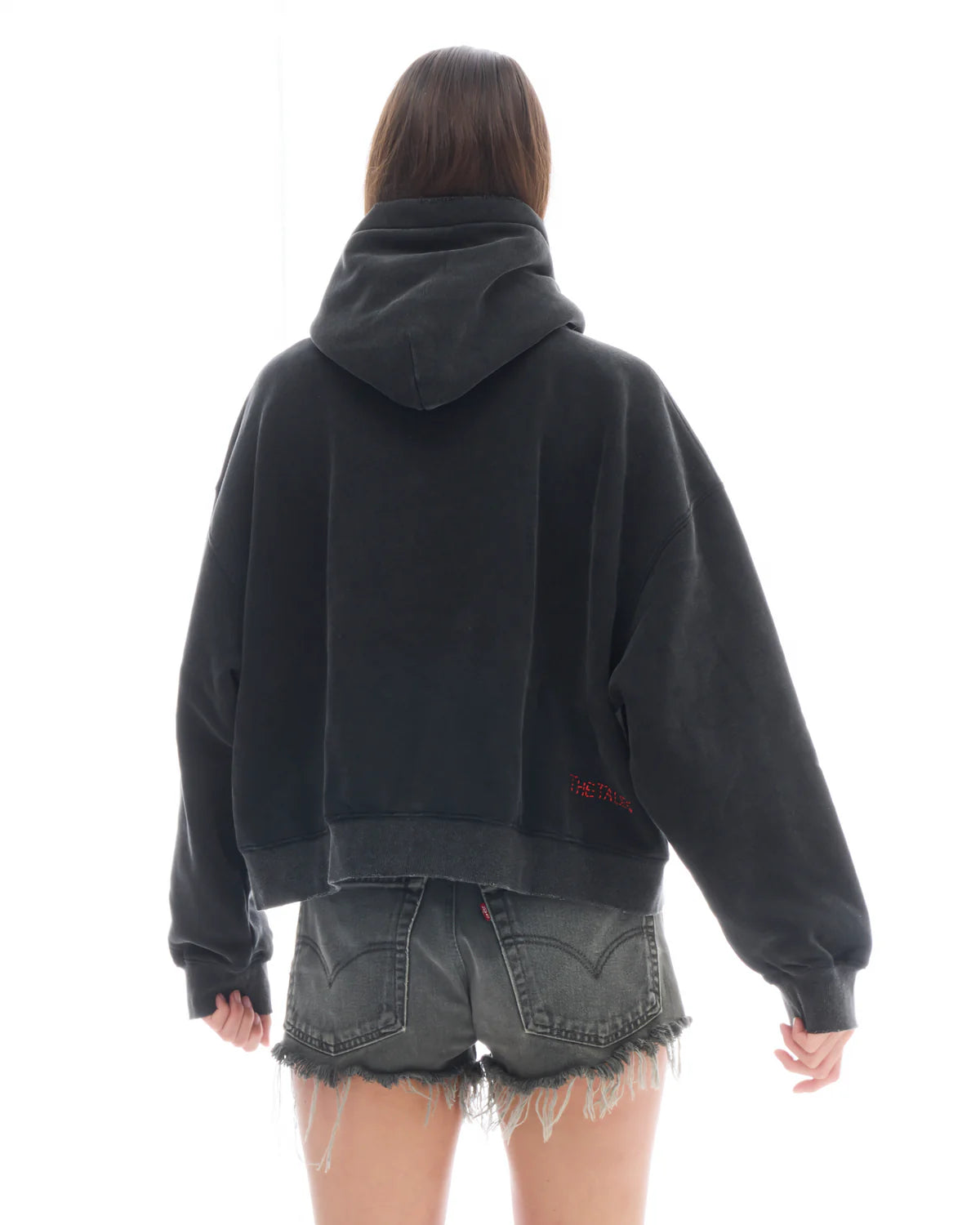Artist Oversized Crop Hoodie The Tales