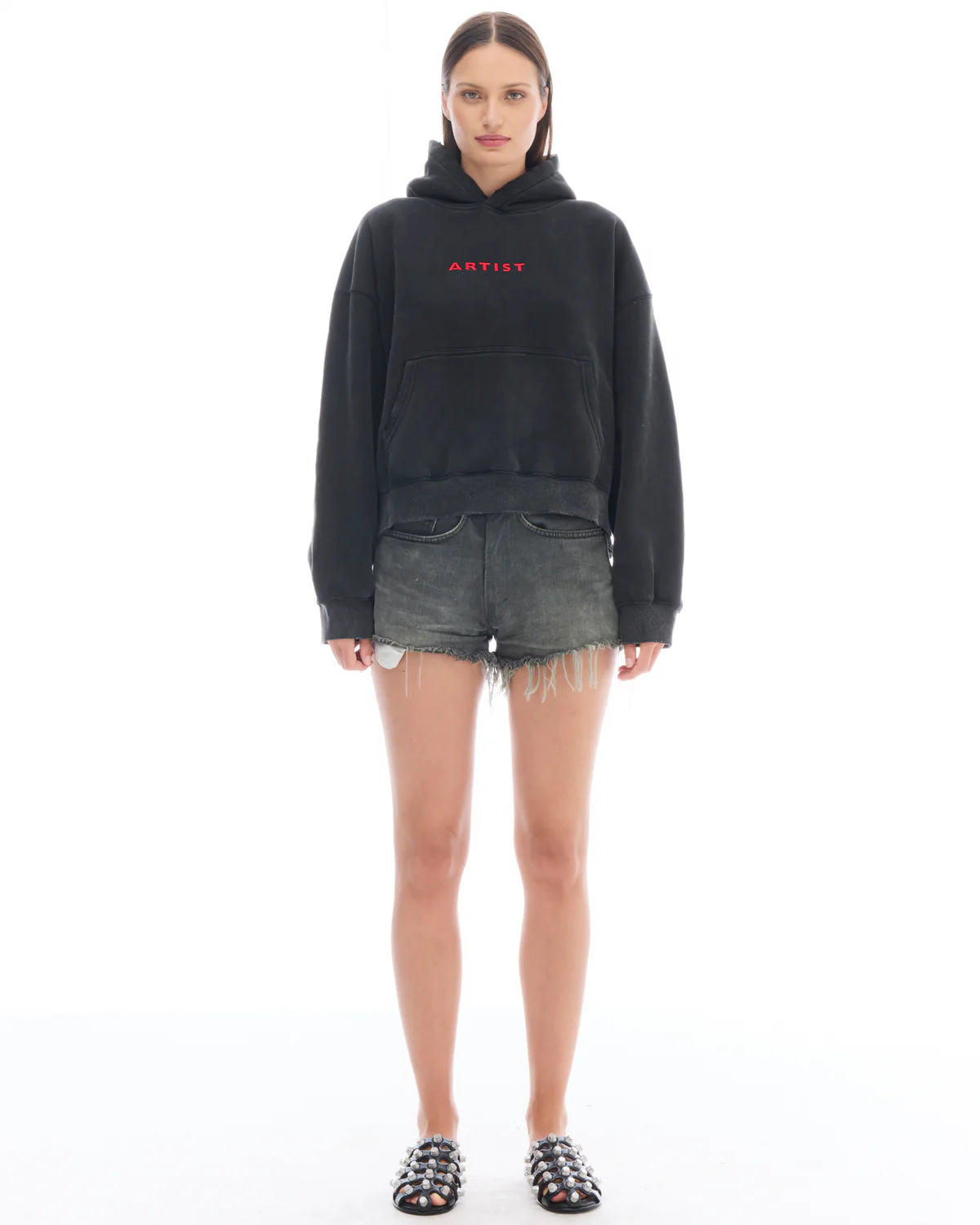 Artist Oversized Crop Hoodie The Tales