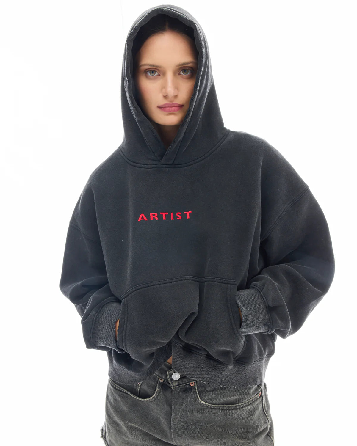 Artist Oversized Crop Hoodie The Tales