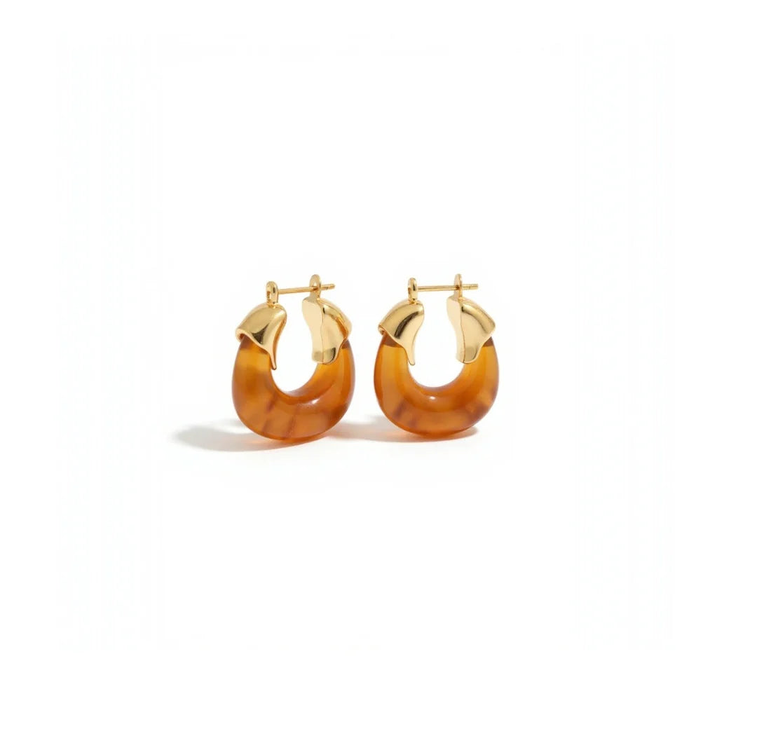 Forrest Hatch Earrings -Brown Tania Claire