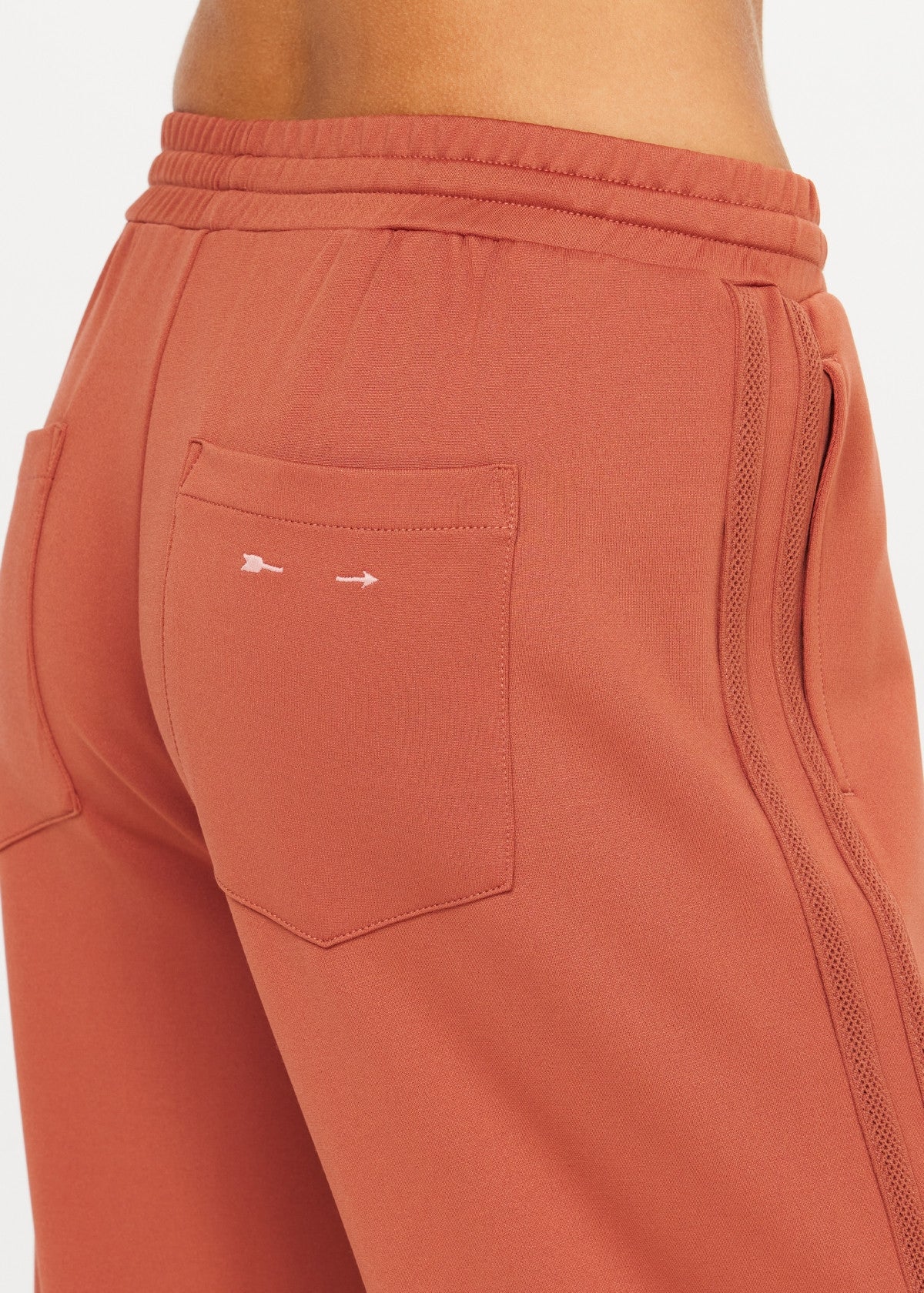 Roma Pant - Desert Rose The Upside