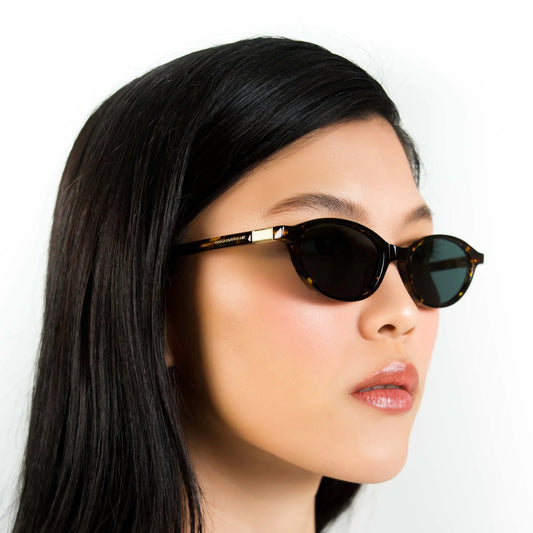 Sammy - Dark Tort Oscar and Frank