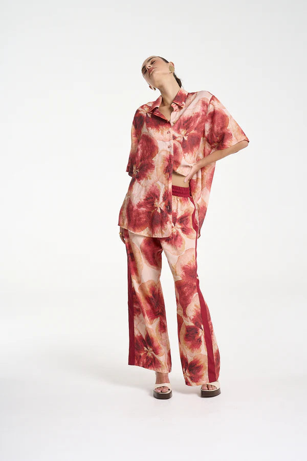 Big Shirt - Aloha Summi Summi